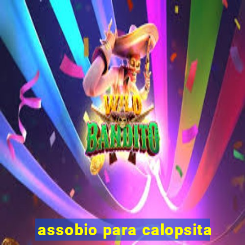 assobio para calopsita